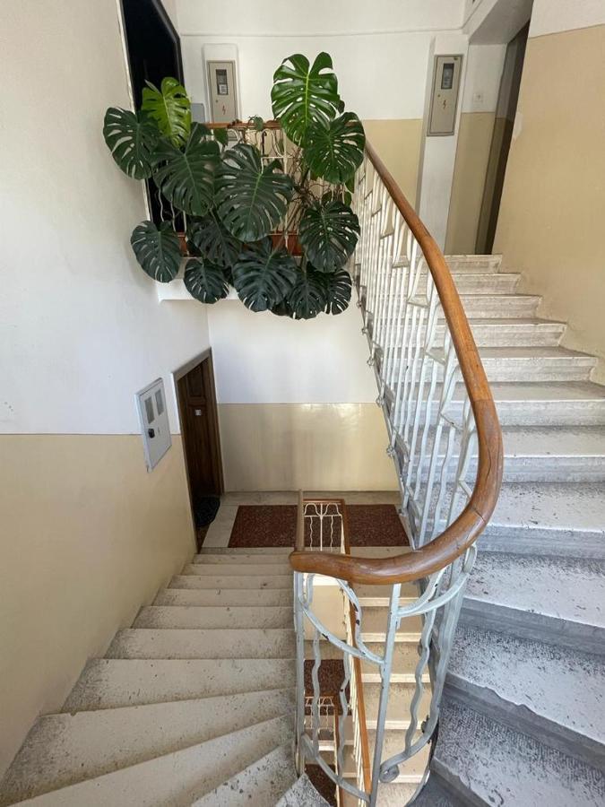 Split Rooftop Loft エクステリア 写真